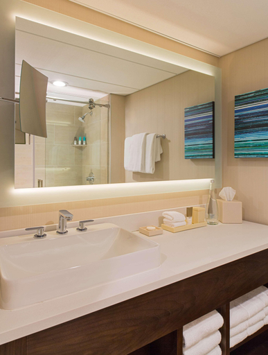 Bathroom 5, Hyatt Regency Austin, Travis