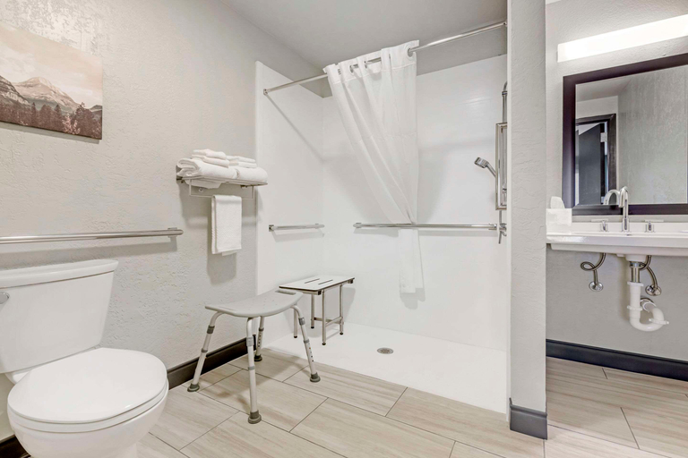 Bathroom, Quality Inn Dillon I-15, Beaverhead