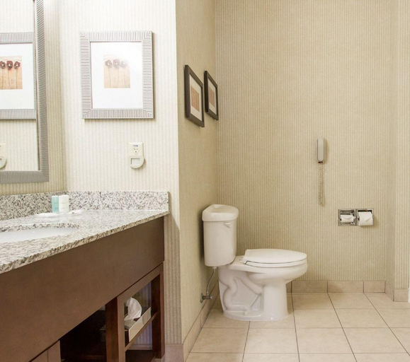 Bathroom 4, Comfort Suites Grand Rapids North, Kent