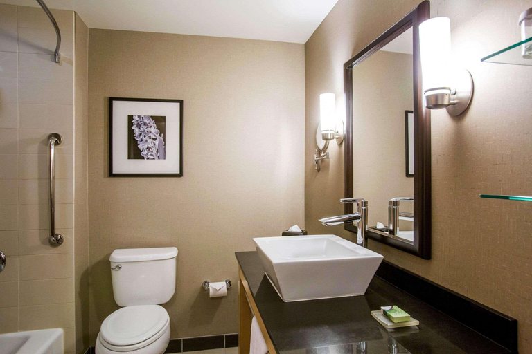 Bathroom 4, Cambria Hotel Rapid City Near Mount Rushmore, Pennington