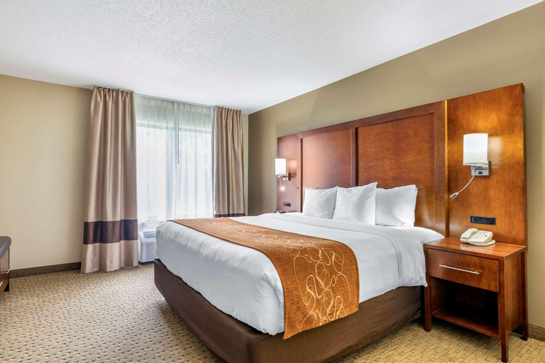 Bedroom 3, Comfort Suites Grand Rapids North, Kent