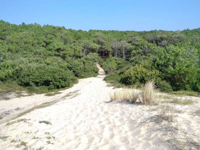 Others 4, Les Verdurettes - Holiday Home Picasso, Landes