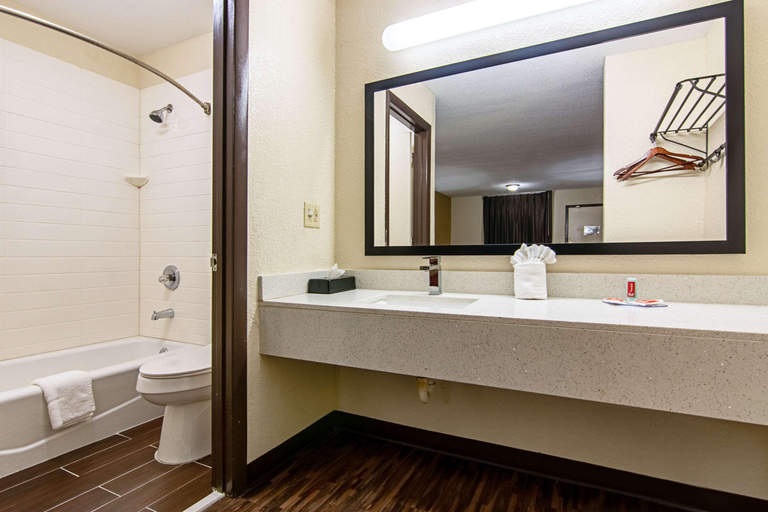 Bathroom 4, Econo Lodge Inn & Suites East Matthews, Mecklenburg