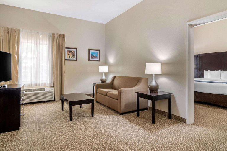Bedroom 4, Comfort Inn & Suites Smyrna, Cobb