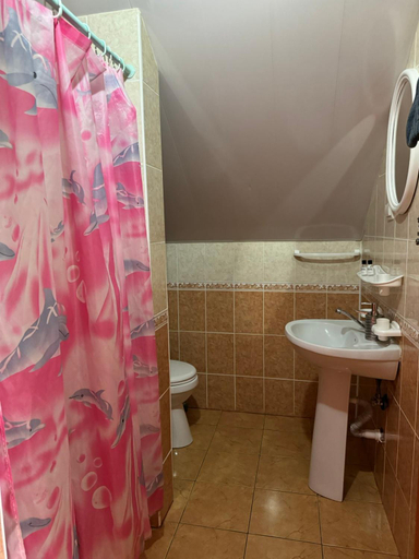Bathroom 3, ПАННА КАТЕРИНА, Svaliavs'kyi