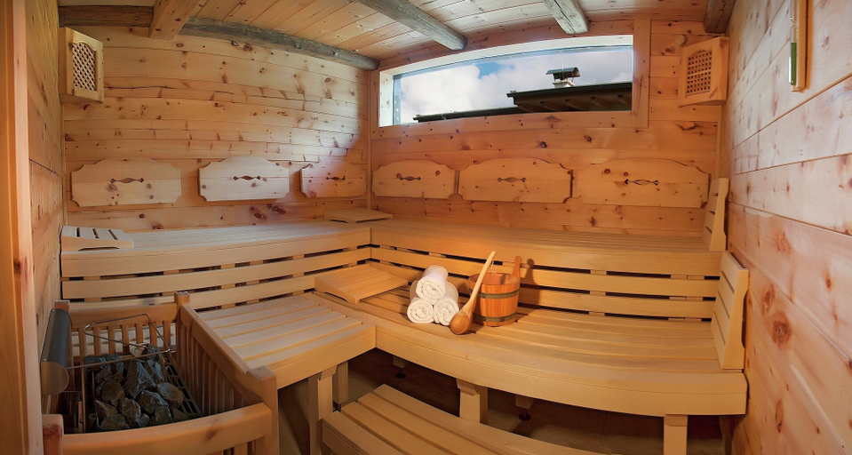 Sauna 2, Luxurious Apartment in Fugen Near Forest, Schwaz