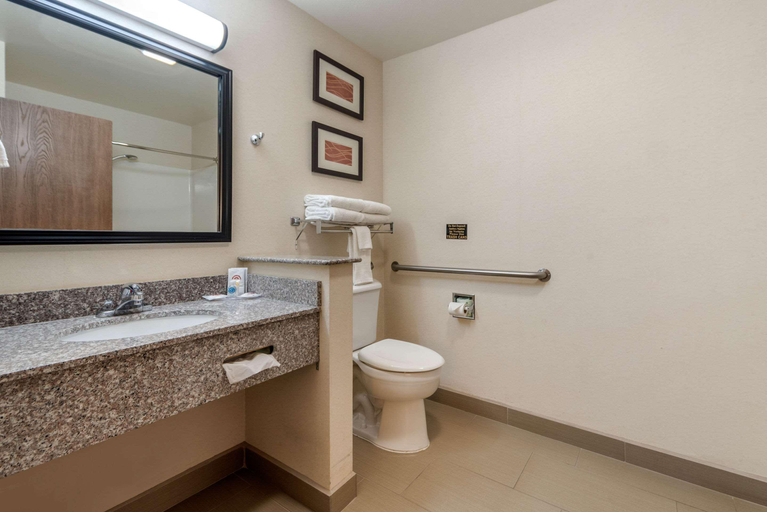 Bathroom, Comfort Inn & Suites Alamosa, Alamosa
