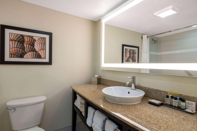 Bathroom 4, Wyndham Boca Raton, Palm Beach