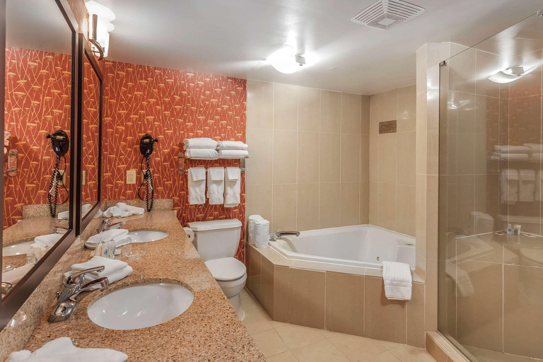 Bathroom 4, Comfort Suites Suffolk - Chesapeake, Suffolk