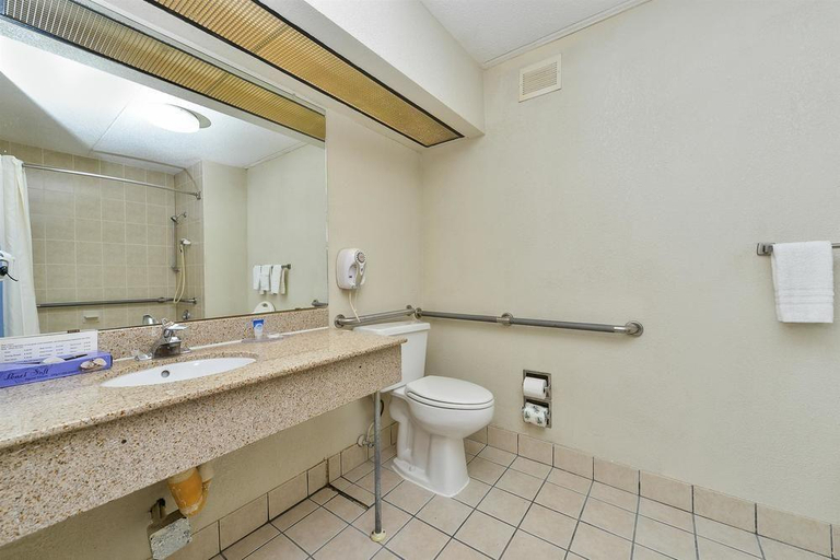 Bathroom 4, Farragut Inn & Suites, Knox