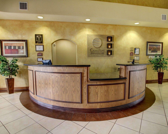 Public Area 2, Comfort Inn & Suites Alvarado, Johnson