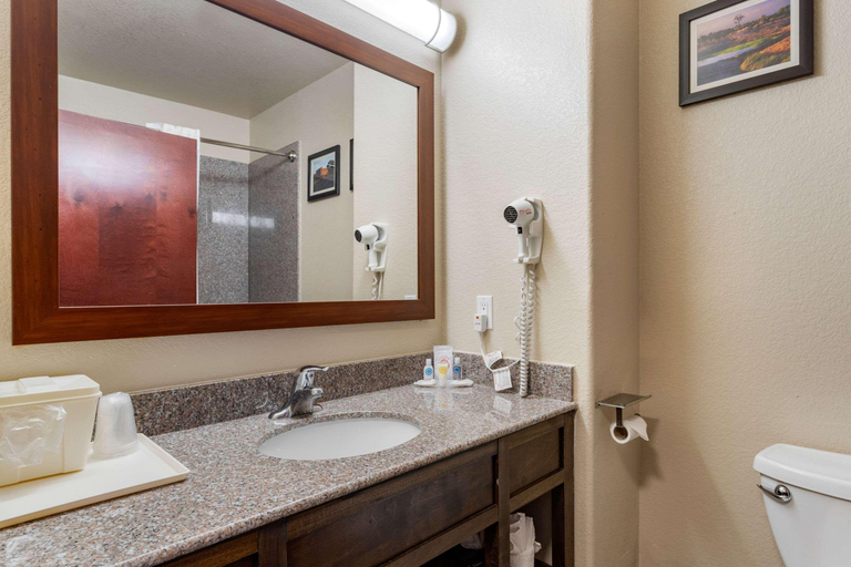 Bathroom 4, Comfort Inn & Suites Navasota, Grimes