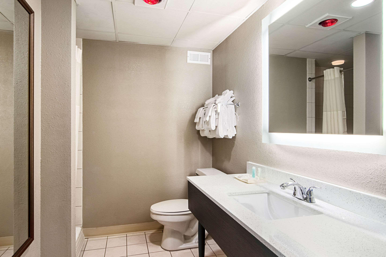 Bathroom 4, Clarion Inn Willow River, Sevier