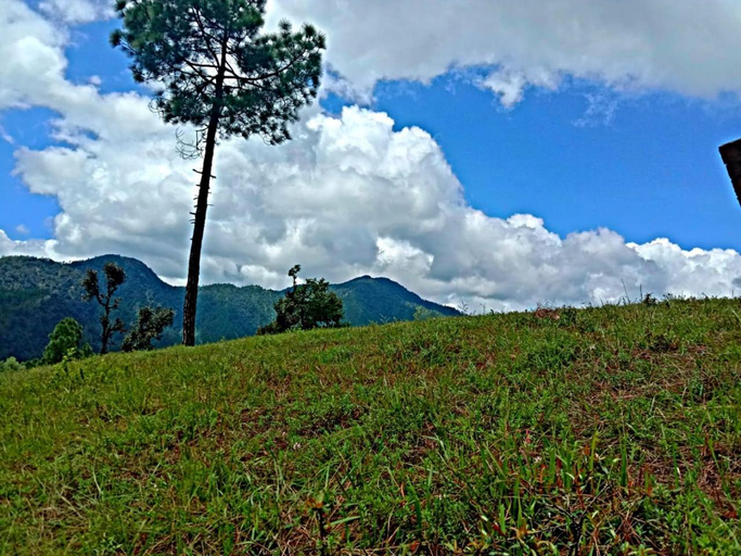 Others 4, JMT Eco-Binsar by StayApart, Almora