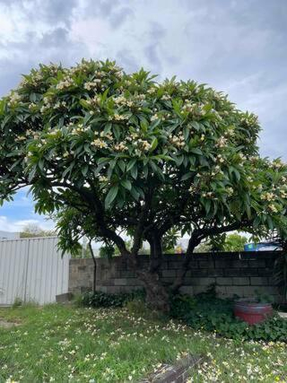 Others 5, Mascot Guesthouse 5 mins to Airports 17 mins to CBD, Sydney