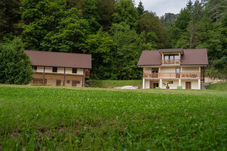 Others 5, Ribnik Stari trg, Kozje