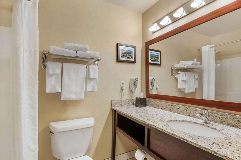 Bathroom 4, Comfort Inn University Missoula, Missoula