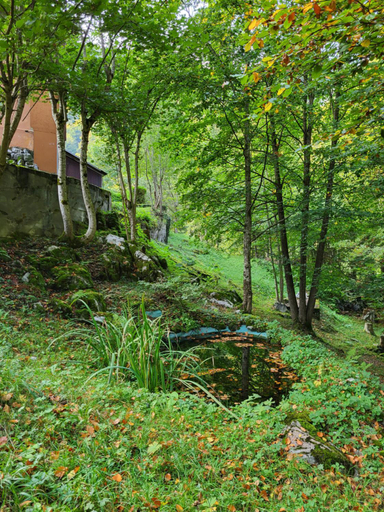 Others 2, Ferienhaus Barschwendi, Obwalden