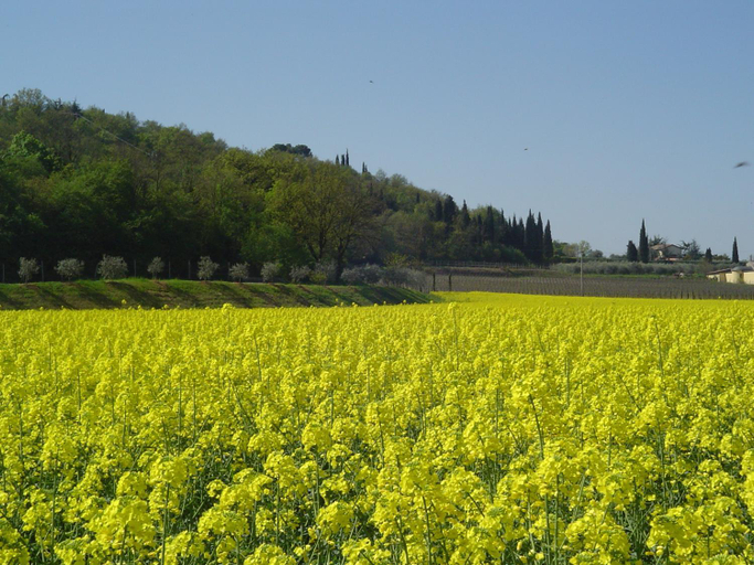 Others 2, Agriturismo Sambuco, Verona