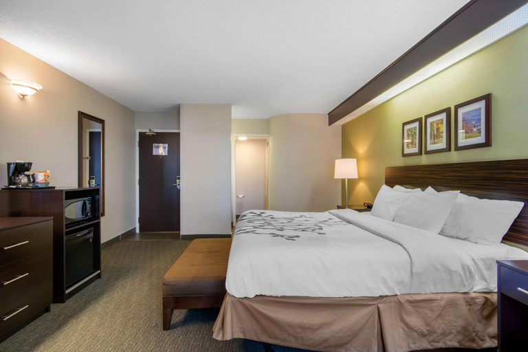 Bedroom 4, Sleep Inn Sault Ste Marie, Algoma