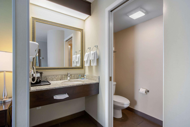 Bathroom 5, Sleep Inn Sault Ste Marie, Algoma