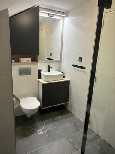 Bathroom 2, City Apartment Holgi, Novi Sad
