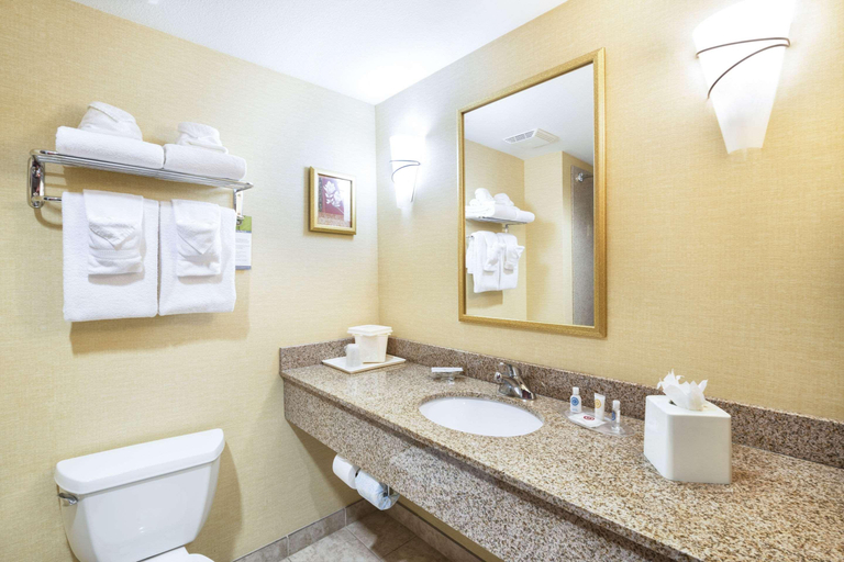 Bathroom 4, Comfort Suites Goodyear-West Phoenix, Maricopa