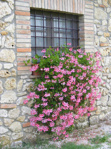 Others 5, Agriturismo Podere dell' Olmo, Terni