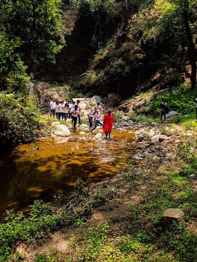 Others 5, JMT Eco-Binsar by StayApart, Almora