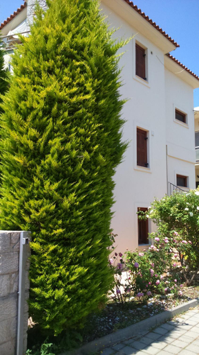 Others 4, Vagionia Apartments, Peloponnese
