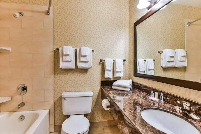 Bathroom 5, Comfort Inn & Suites Ambassador Bridge, Essex