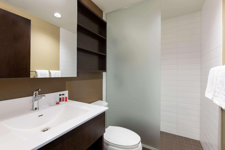 Bathroom 5, Microtel Inn & Suites by Wyndham Estevan, Division No. 1