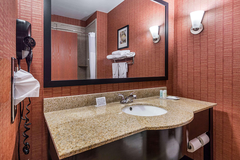 Bathroom 4, Comfort Suites, Vernon