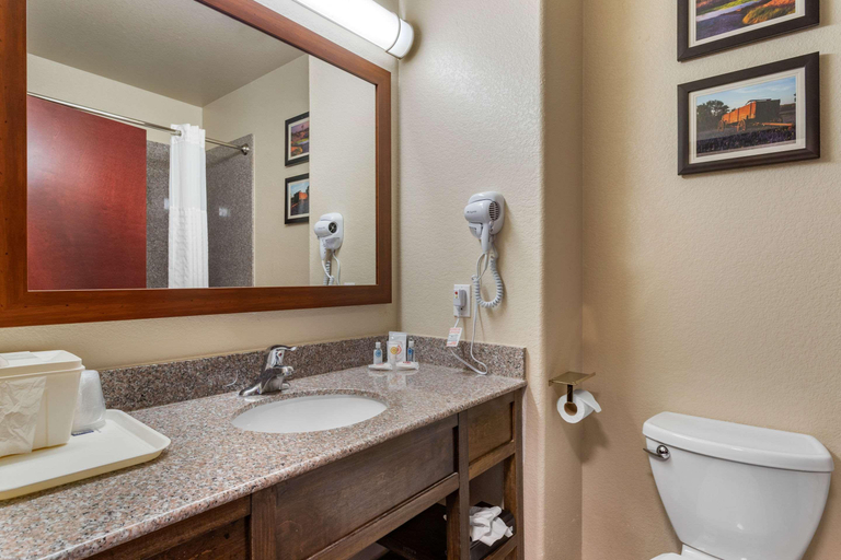 Bathroom 4, Comfort Inn & Suites Navasota, Grimes