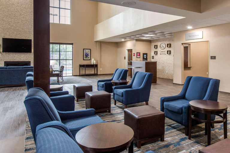 Public Area 2, Comfort Suites - South Austin, Travis