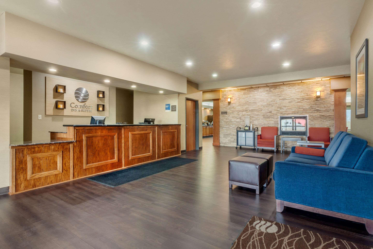 Public Area 3, Comfort Inn & Suites Mitchell I-90, Davison
