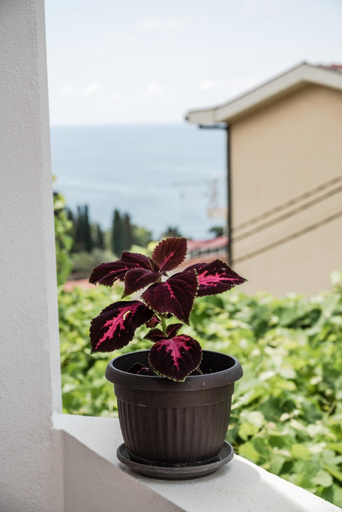 Others 5, Adriatic Sea View Rooms