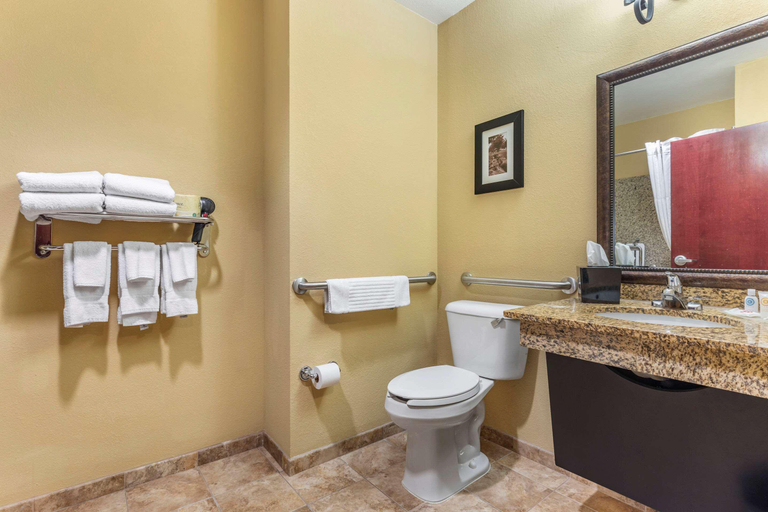 Bathroom 4, Comfort Suites Frisco, Collin