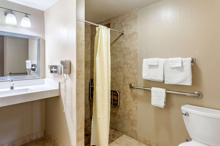 Bathroom 4, Econo Lodge Inn & Suites Dickson, Dickson