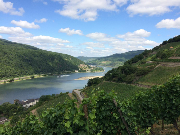 Others 3, Winzerhof Ross & Rose, Mainz-Bingen