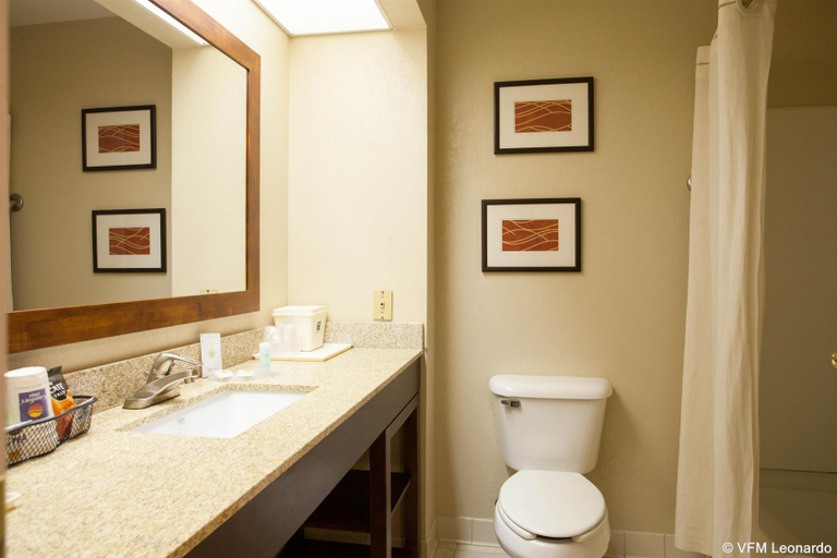 Bathroom 4, Quality Inn & Suites I-40 East, Pulaski