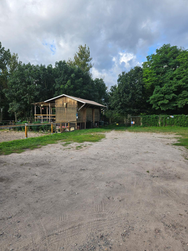 Surrounding environment