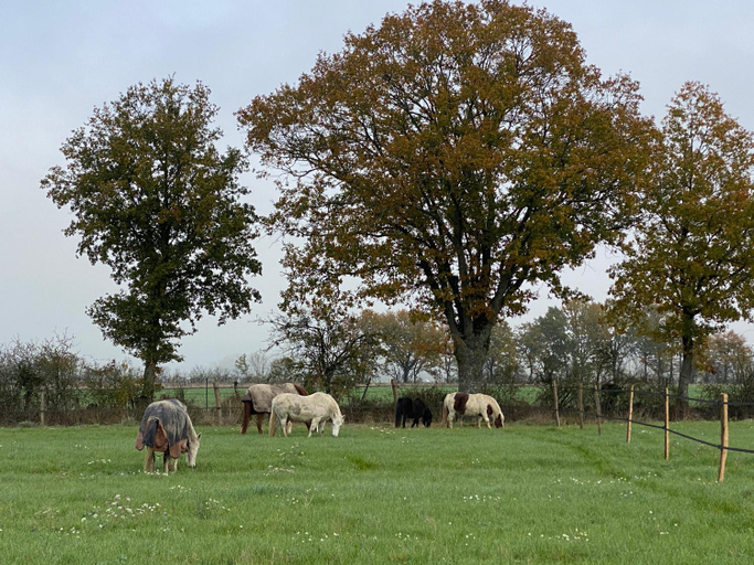 Others 2, Domaine Les Bruyeres, Loiret