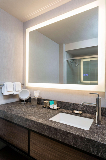 Bathroom 4, Hyatt Regency Rochester, Monroe