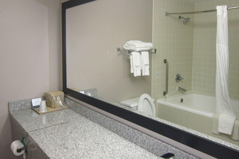 Bathroom 4, Quality Inn Nashville, Brown