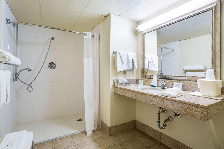 Bathroom 4, Quality Inn North, Nash