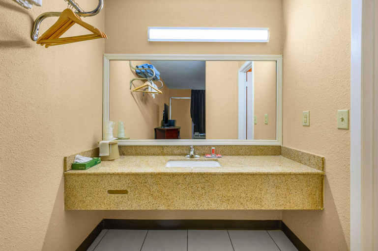 Bathroom, Econo Lodge Decatur Regional Airport, Morgan