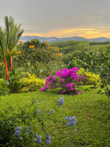 Others 5, Hotel Boutique La Ceiba, Quimbaya