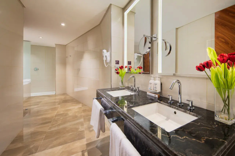 Bathroom 5, Aerotel Jeddah, Jeddah