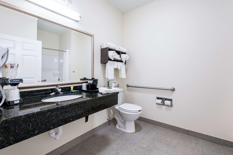 Bathroom 4, Clarion Pointe Madison-Huntsville, Madison